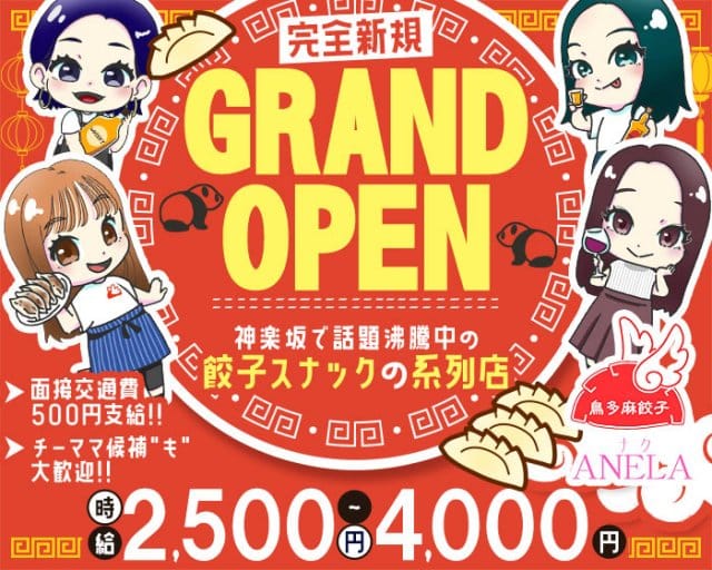 【神楽坂】鳥多麻餃子 スナック ANELA（アネラ）のスナック体入
