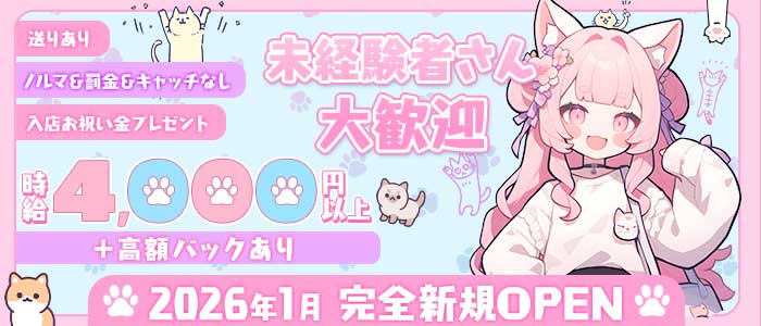 ねこぱすてる(藤沢ガールズバー)の求人・体験入店情報