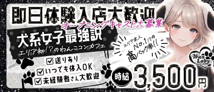 コンカフェ WanLaby（ワンラビ） 梅田ガールズバー 即日体入募集バナー