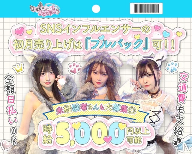 【昼・夜】オオカミちゃんはこわくない(桜木町ガールズバー)の求人・体験入店情報