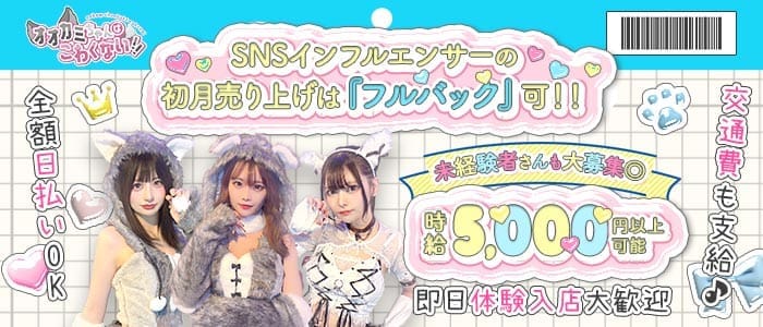 【昼・夜】オオカミちゃんはこわくない(桜木町ガールズバー)の求人・体験入店情報