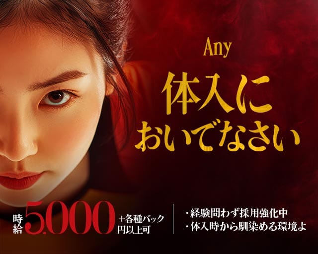 Any（エニー）のキャバクラ体入