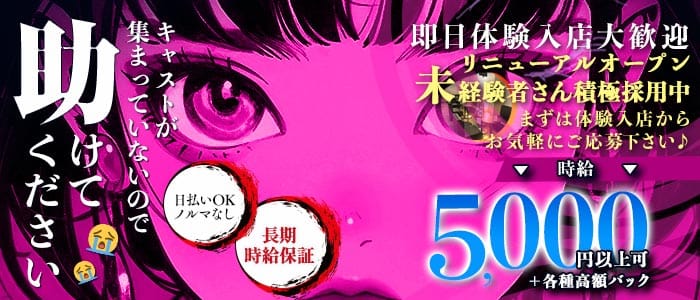 Any（エニー）(川越キャバクラ)の求人・体験入店情報