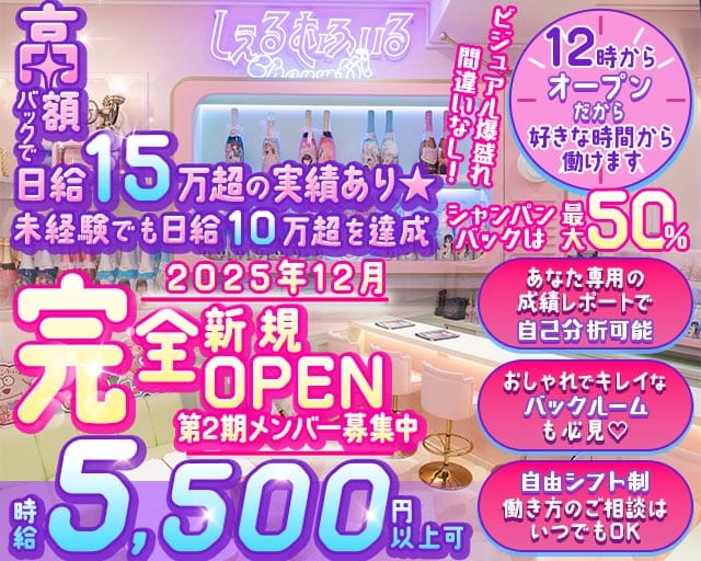 【昼・夜】しぇるむふぃる(歌舞伎町ガールズバー)の求人・体験入店情報