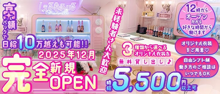 【昼・夜】しぇるむふぃる 歌舞伎町ガールズバー 未経験募集バナー