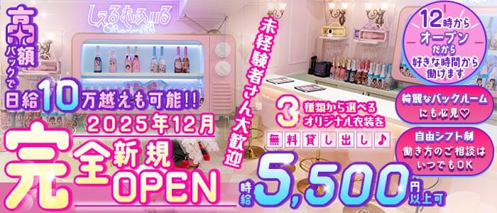 【昼・夜】しぇるむふぃる 歌舞伎町ガールズバー 未経験募集バナー
