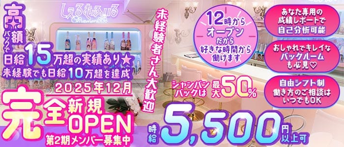 【昼・夜】しぇるむふぃる(歌舞伎町ガールズバー)の求人・体験入店情報
