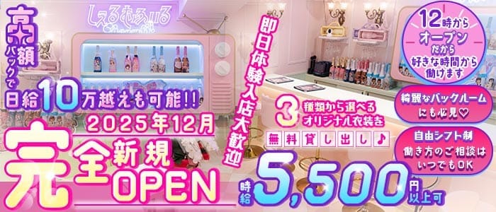 【昼・夜】しぇるむふぃる 歌舞伎町ガールズバー 即日体入募集バナー