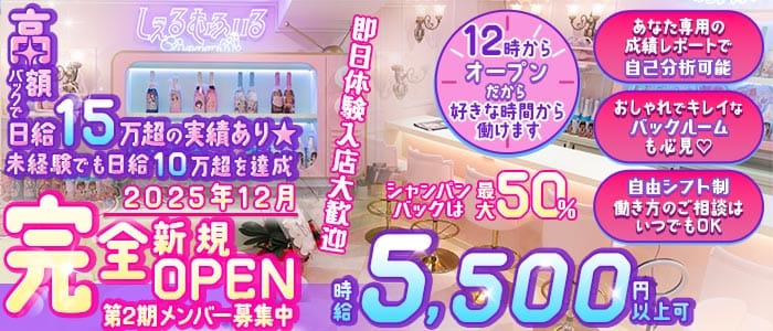 【昼・夜】しぇるむふぃる(歌舞伎町ガールズバー)の求人・体験入店情報