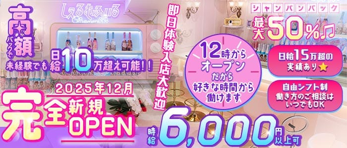 【昼・夜】しぇるむふぃる(歌舞伎町ガールズバー)の求人・体験入店情報