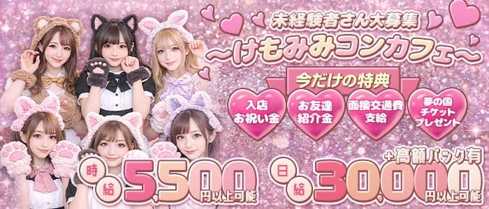 【川崎駅】【昼・夜】BASTET（バステト） 武蔵小杉ガールズバー 未経験募集バナー