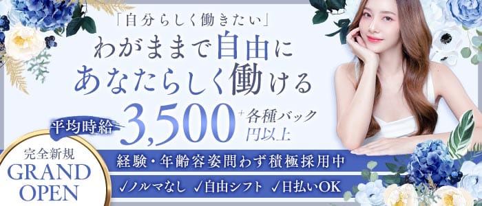 sapphire（サファイア）(北新地スナック)の求人・体験入店情報