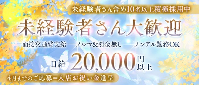 Elfin（エルフィン） 三宮スナック 未経験募集バナー