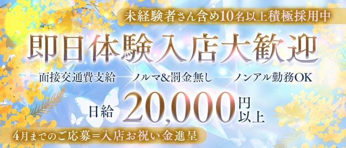 Elfin（エルフィン） 三宮スナック 即日体入募集バナー