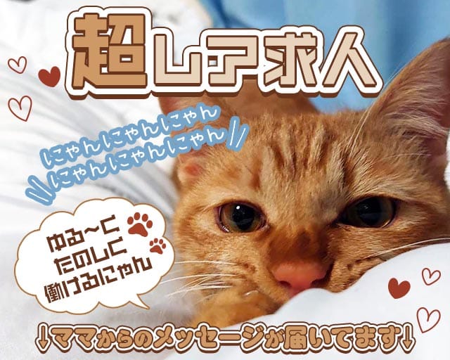 絹（キヌ）のラウンジ体入