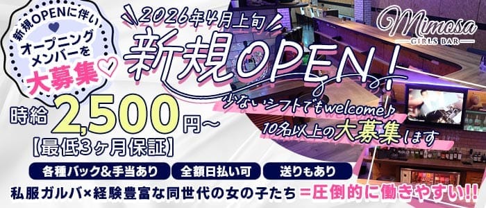 Girls Bar MIMOSA（ミモザ） 錦糸町ガールズバー 未経験募集バナー