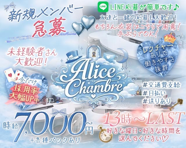 【歌舞伎町】Alice Chambre（アリス シャンブル）(歌舞伎町ガールズバー)の求人・体験入店情報