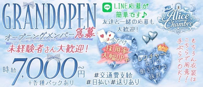 【歌舞伎町】Alice Chambre（アリス シャンブル）(歌舞伎町ガールズバー)の求人・体験入店情報