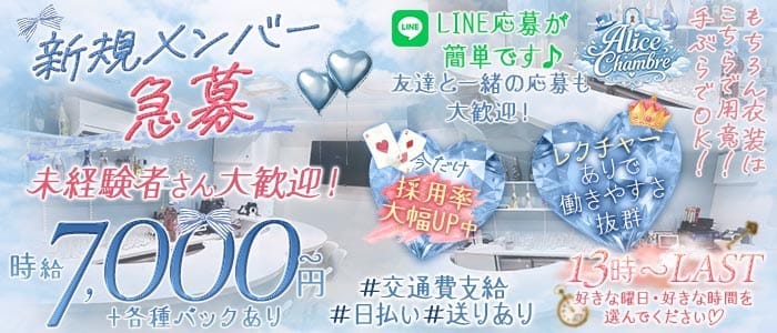 【歌舞伎町】Alice Chambre（アリス シャンブル） 歌舞伎町ガールズバー 未経験募集バナー
