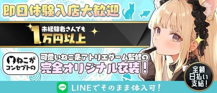 ねこてらす(関内ガールズバー)の求人・体験入店情報