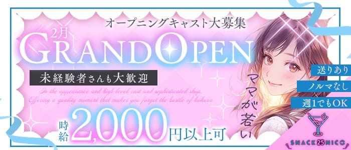 スナック 25 NICO（ニコ）(心斎橋スナック)の求人・体験入店情報