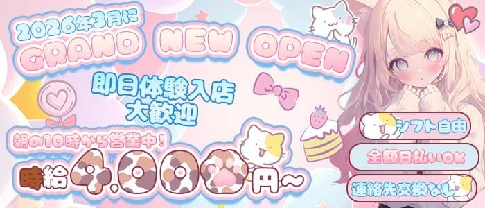 にゃんめいどる(藤沢ガールズバー)の求人・体験入店情報