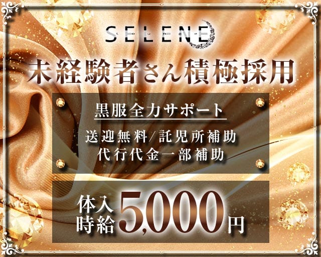 Lounge SELENE（セレネ）のラウンジ体入