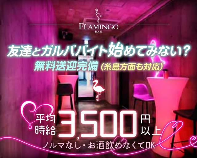 BAR FLAMINGO 西新店（フラミンゴ）のガールズバー体入