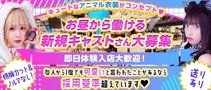 【大宮】Concept Girl's cafe Chloe（クロエ）(南越谷ガールズバー)の求人・体験入店情報