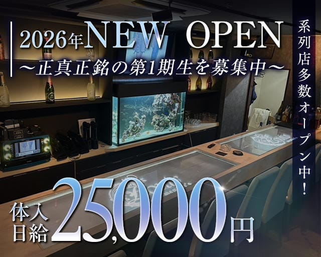 Member`s Louis（ルイス）のガールズバー体入