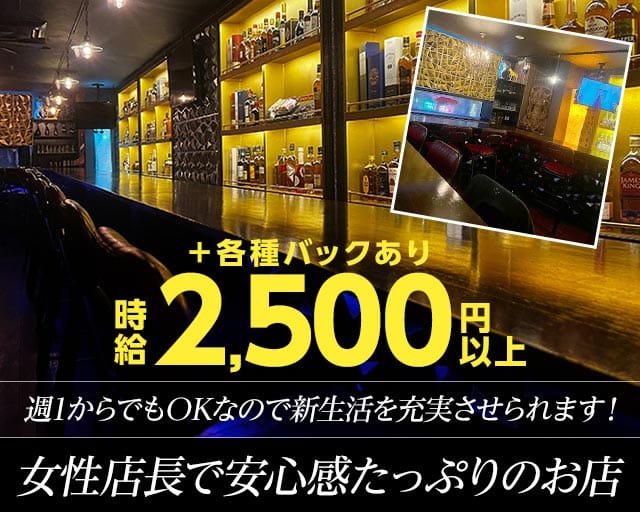 ジェンティルのガールズバー体入