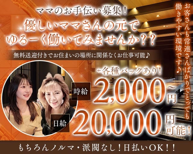 パブ おしゃれ泥棒【東浦和】のスナック体入