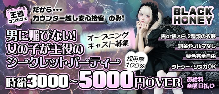 Black Honey（ブラックハニー）(秋葉原ガールズバー)の求人・体験入店情報