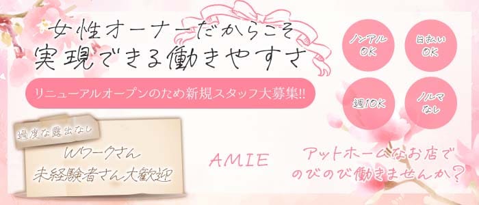 AMIE（アミー）(静岡スナック)の求人・体験入店情報