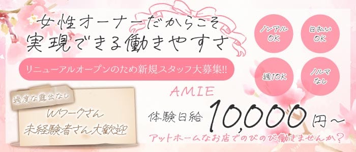 AMIE（アミー）(静岡スナック)の求人・体験入店情報