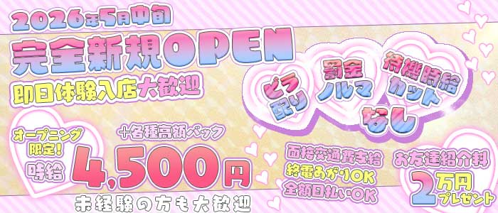 Arva（アルヴァ）(新橋ガールズバー)の求人・体験入店情報