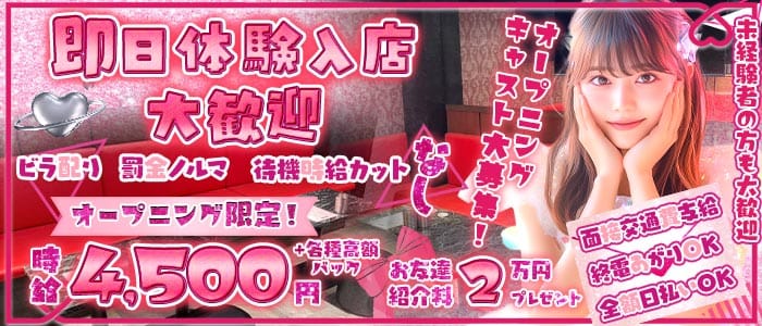 Arva（アルヴァ）(新橋ガールズバー)の求人・体験入店情報