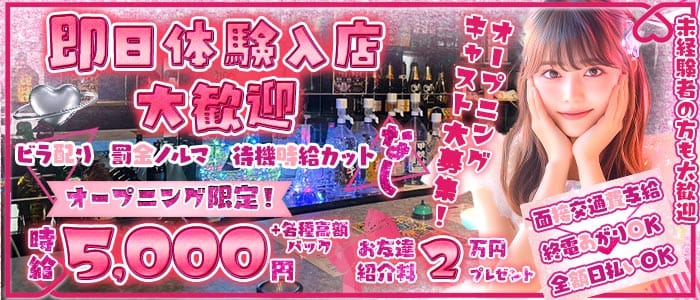 Arva（アルヴァ）(新橋ガールズバー)の求人・体験入店情報