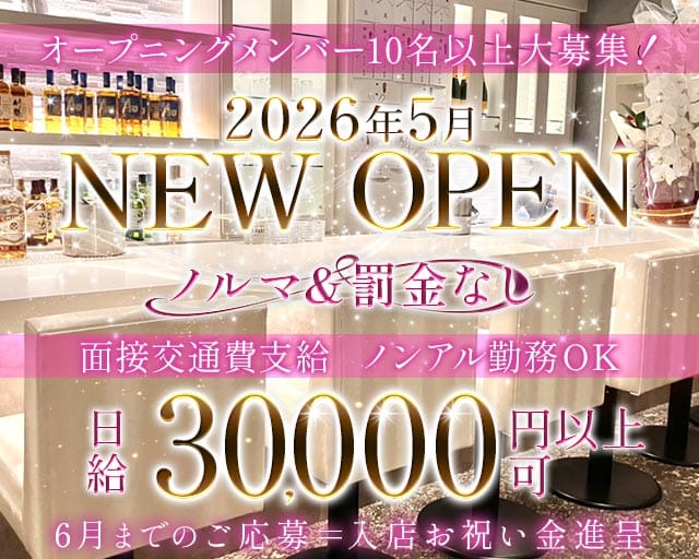 Elfin～Annex～（エルフィン アネックス）(三宮ラウンジ)の求人・体験入店情報