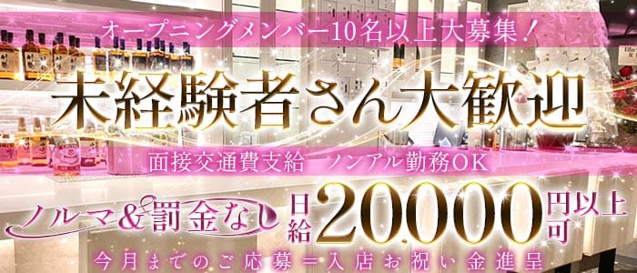 Elfin～Annex～（エルフィン アネックス）(三宮ラウンジ)の求人・体験入店情報
