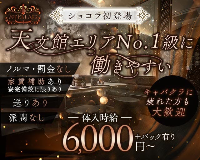 ラウンジステラのラウンジ体入
