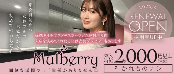 Mulberry（マルベリー）(八王子ガールズバー)の求人・体験入店情報