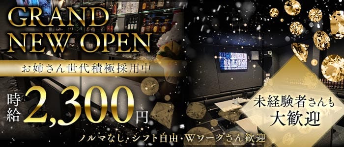 Snack elf.（エルフ）(新潟スナック)の求人・体験入店情報