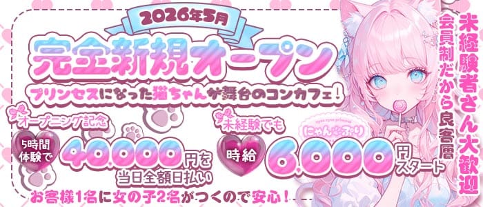 にゃんぷり(横浜ガールズバー)の求人・体験入店情報