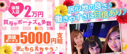 【門前仲町】ガールズバー LAPIS(ラピス) 【公式求人・体入情報】(門前仲町ガールズバー)の求人・体験入店情報