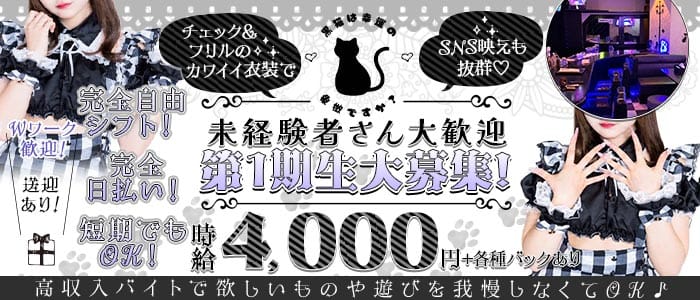 黒猫は幸運の象徴ですか？-SENDAI- 国分町ガールズバー 未経験募集バナー