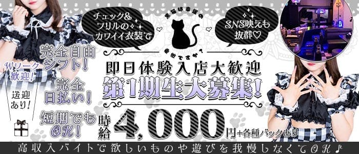 黒猫は幸運の象徴ですか？-SENDAI- 国分町ガールズバー 即日体入募集バナー