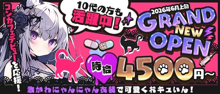 にゃん&times;へら 藤沢ガールズバー 未経験募集バナー