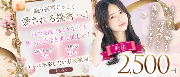 スナキャバはちみつ 千葉中央スナック 