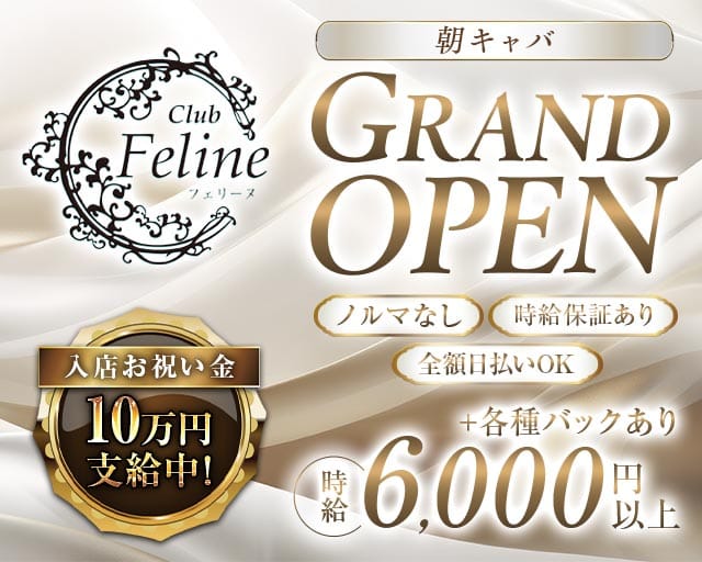 フェリーヌ(歌舞伎町昼キャバ・朝キャバ)の求人・体験入店情報